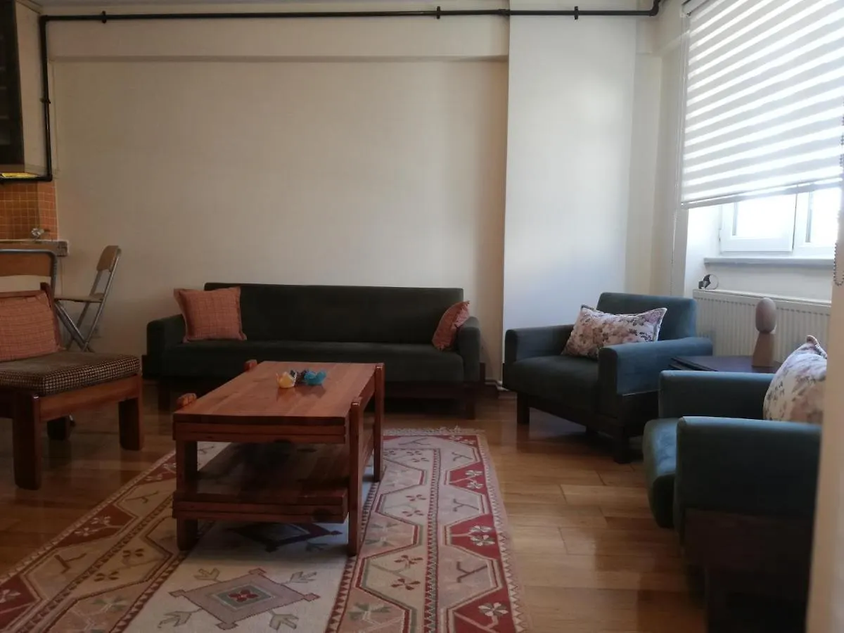 Istanbul And Bosphorus Apartment Turkey