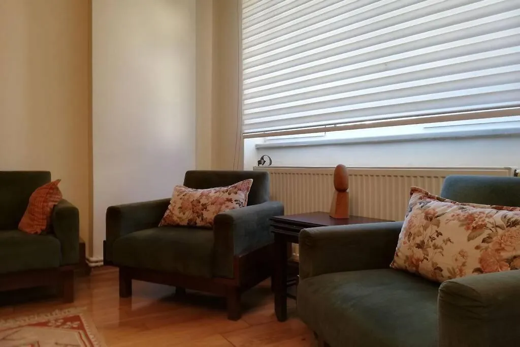 Istanbul And Bosphorus Apartment